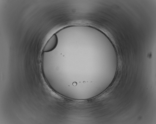 X0000088881486200707061358