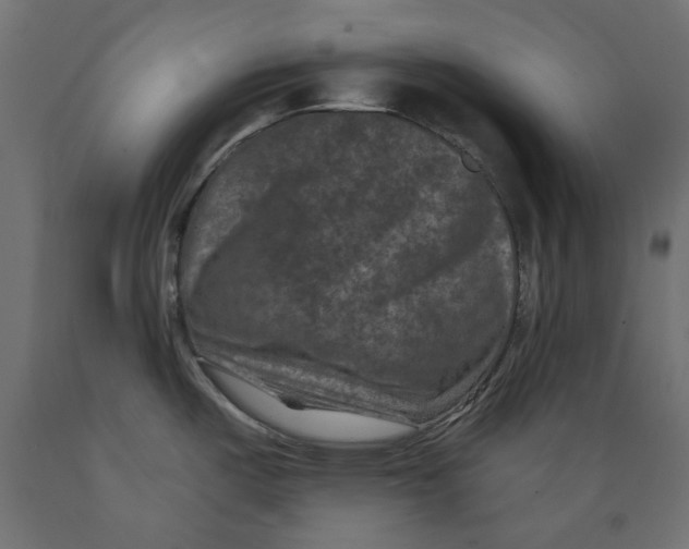 X0000088881487200707061358