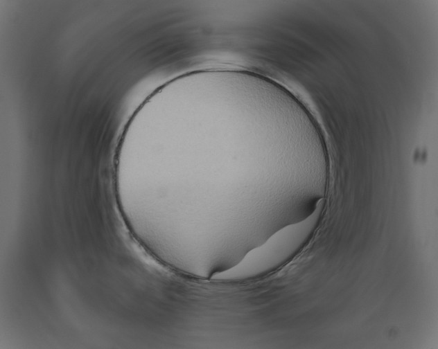 X0000088881488200707061358