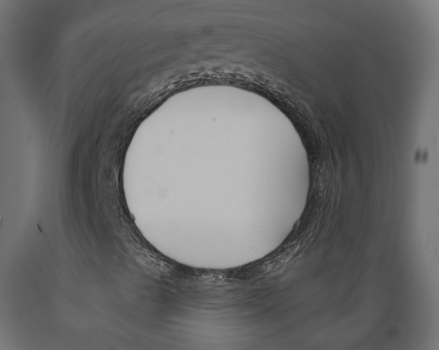 X0000088881489200707061358