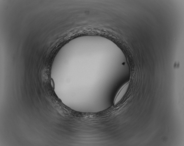 X0000088881490200707061358