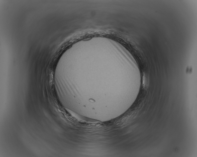 X0000088881492200707061358