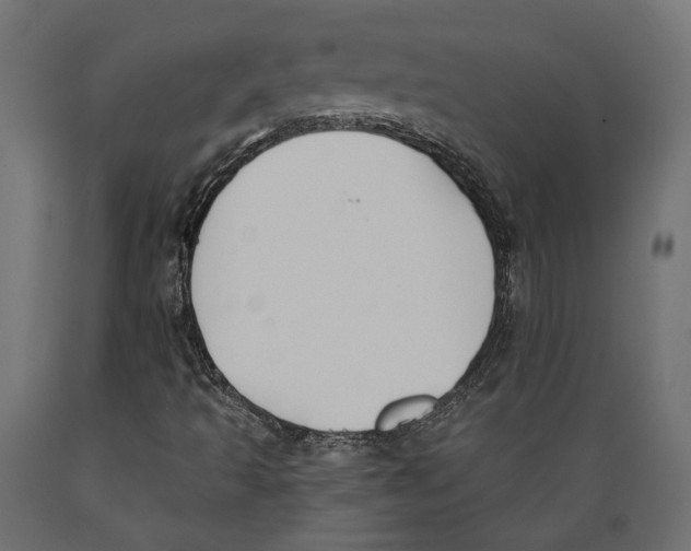 X0000088881493200707061358