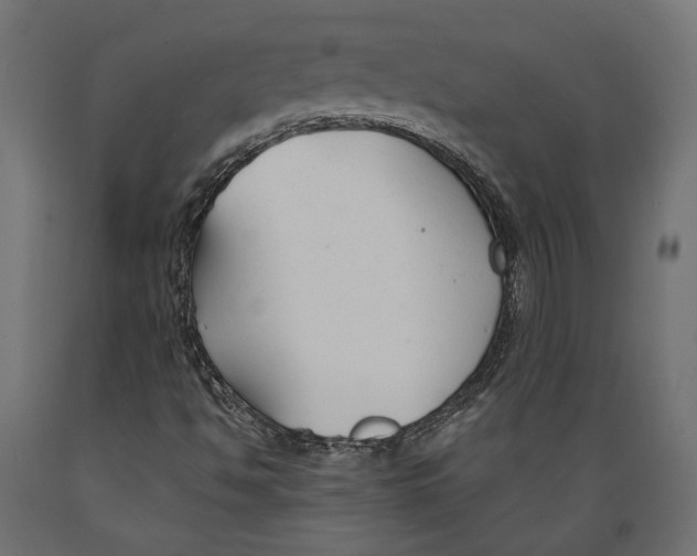 X0000088881494200707061358
