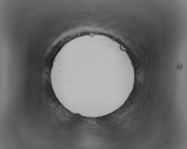 X0000088881495200707061358