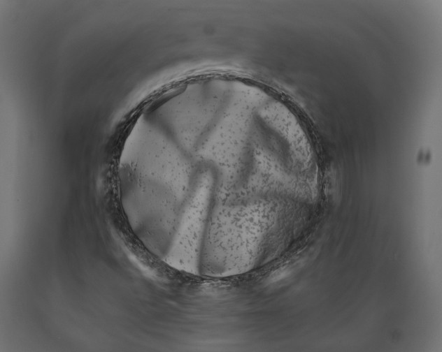 X0000088881496200707061358
