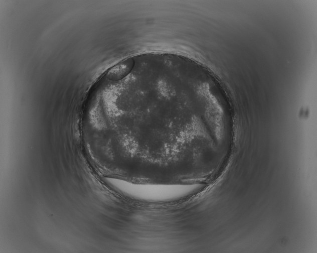 X0000088881497200707061358