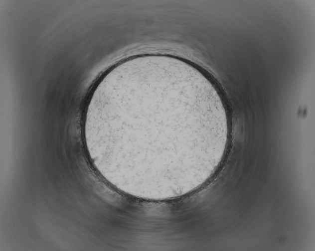 X0000088881498200707061358