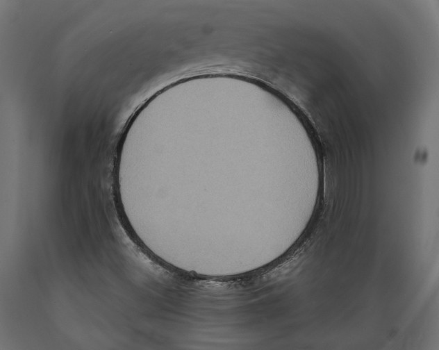 X0000088881500200707061358