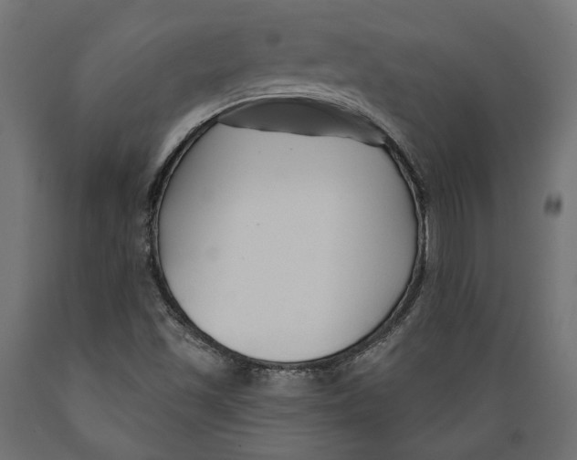 X0000088881501200707061358