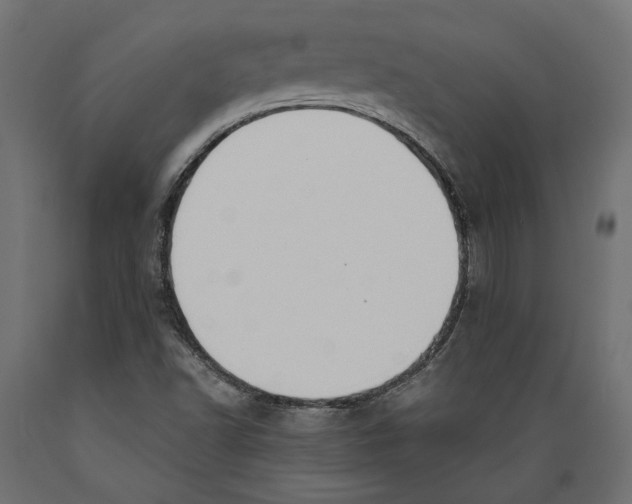 X0000088881502200707061358