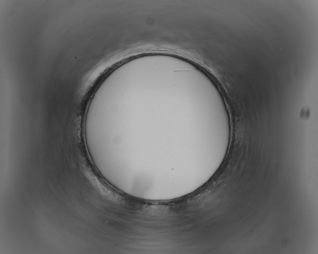 X0000088881503200707061358