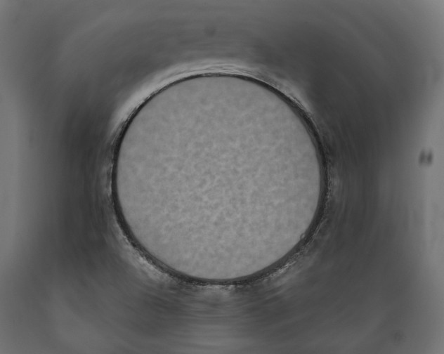 X0000088881504200707061358