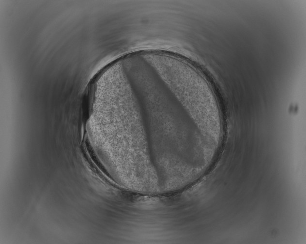 X0000088881505200707061358