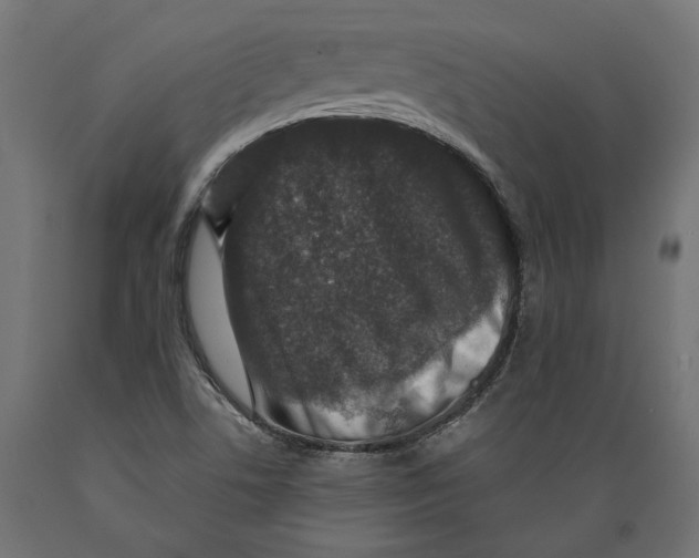 X0000088881506200707061358