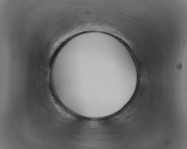 X0000088881507200707061358