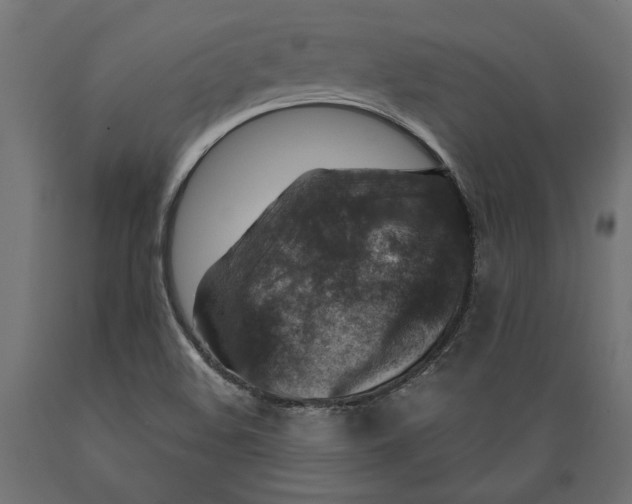 X0000088881508200707061358