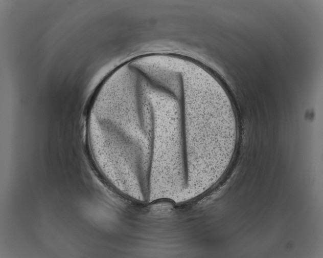 X0000088881509200707061358