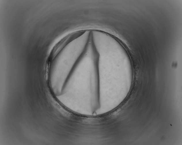 X0000088881510200707061358
