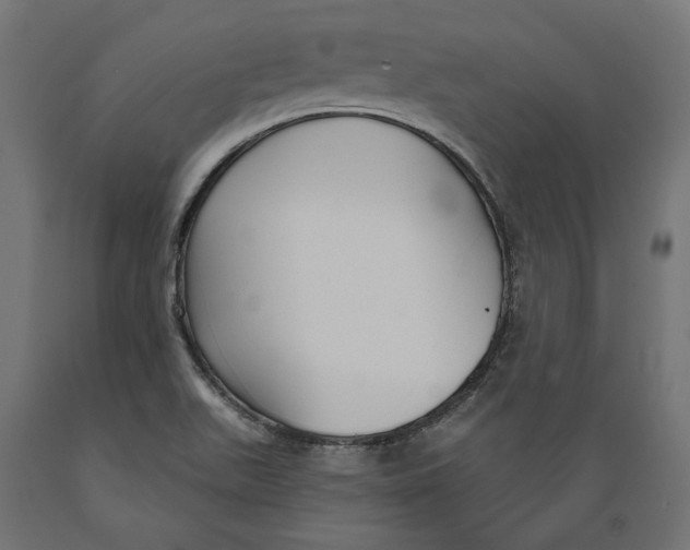 X0000088881511200707061358