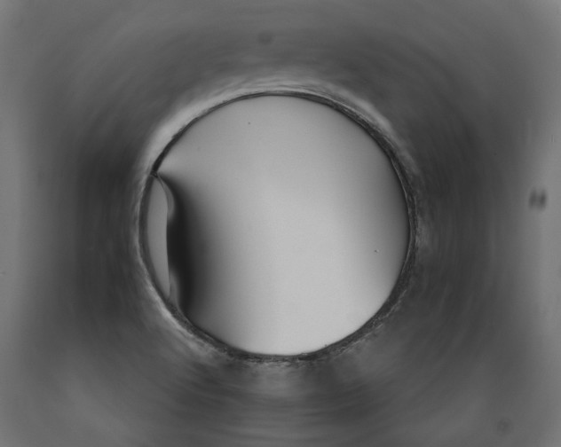 X0000088881512200707061358