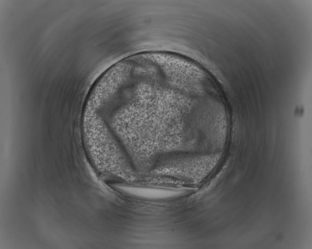 X0000088881513200707061358