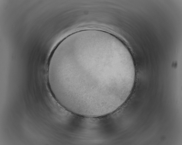 X0000088881514200707061358