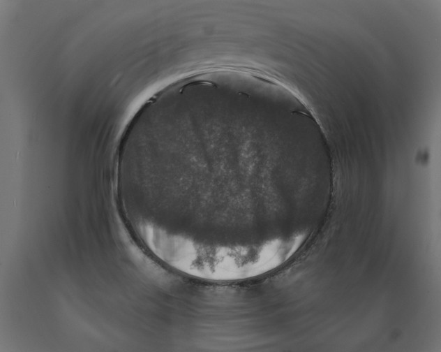 X0000088881515200707061358