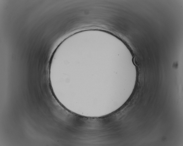X0000088881516200707061358