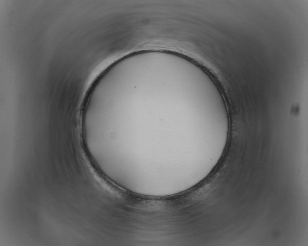 X0000088881517200707061358