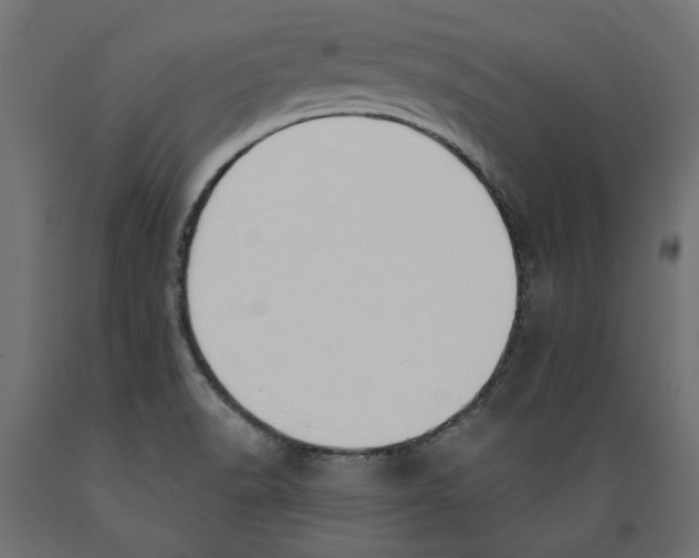 X0000088881518200707061358