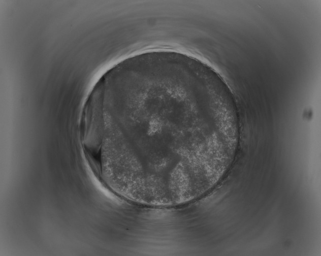 X0000088881519200707061358