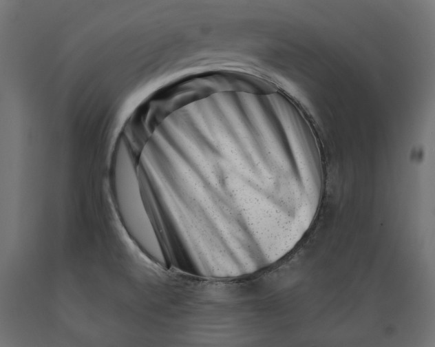 X0000088881520200707061358