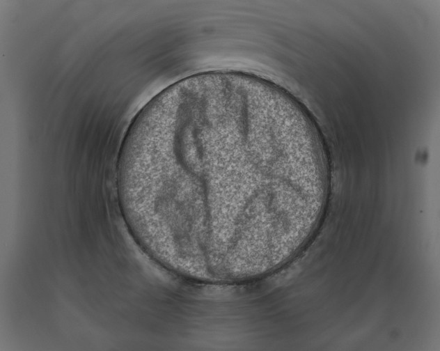 X0000088881521200707061358