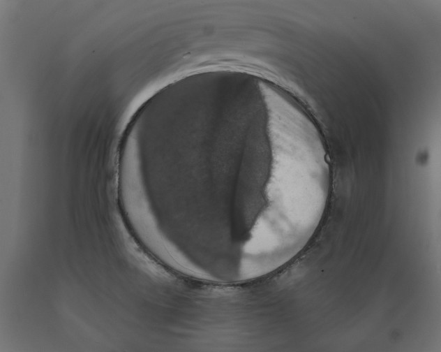 X0000088881522200707061358