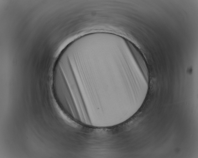 X0000088881523200707061358