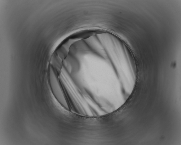 X0000088881524200707061358