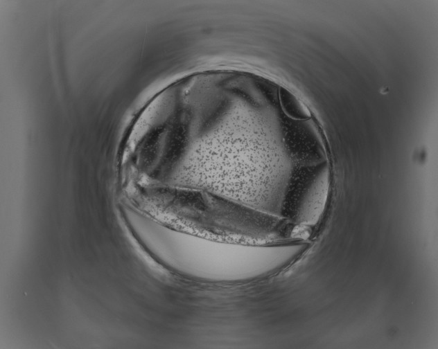 X0000088881525200707061358