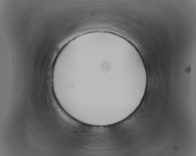 X0000088881526200707061358