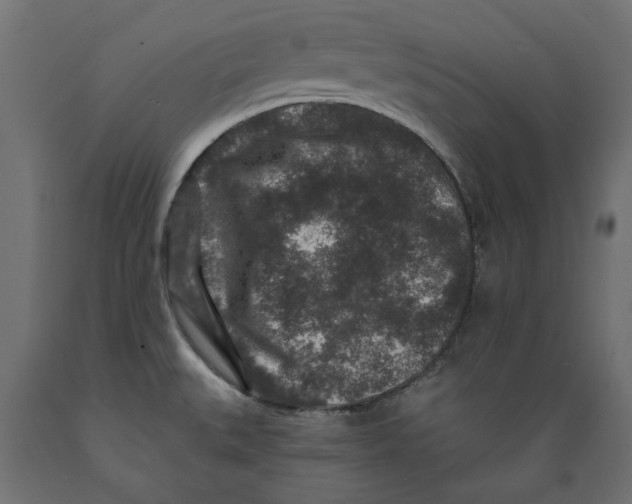 X0000088881527200707061358