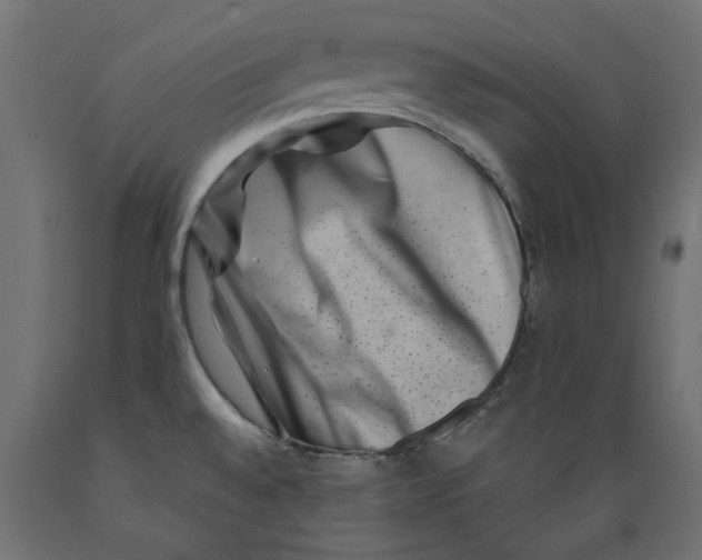 X0000088881528200707061358