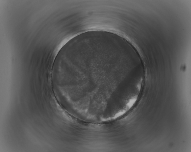 X0000088881529200707061358