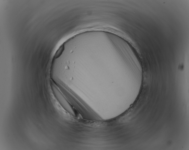 X0000088881530200707061358