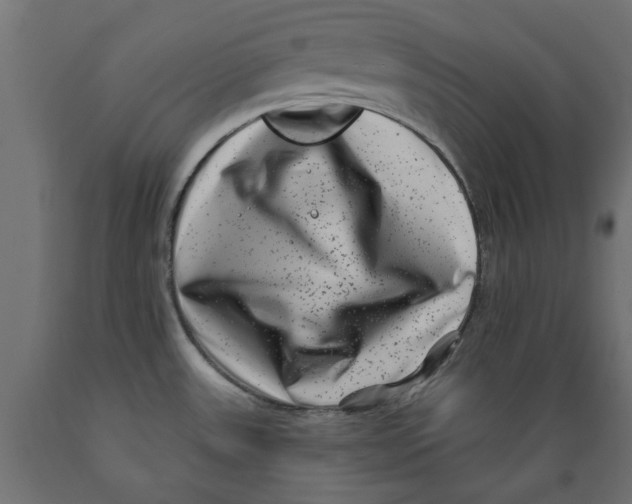 X0000088881531200707061358