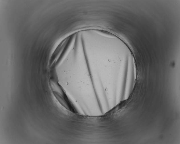 X0000088881532200707061358