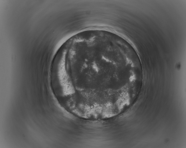 X0000088881533200707061358