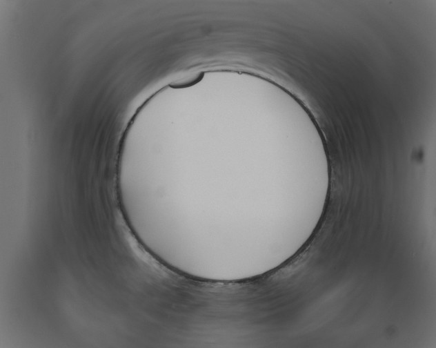 X0000088881534200707061358