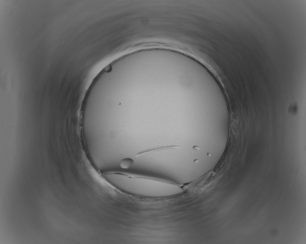X0000088881535200707061358