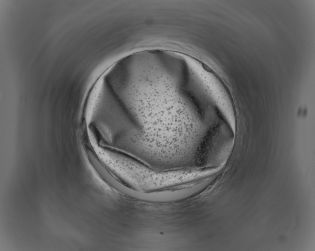 X0000088881536200707061358