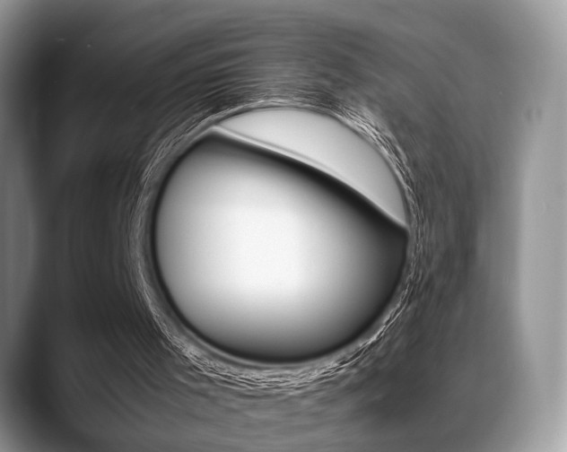 X0000088890001200706080816